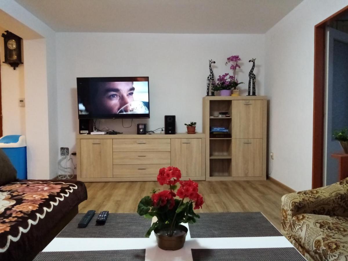 Apartment Pavel Velke Porici Bagian luar foto